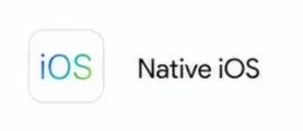 Native iOS App Development